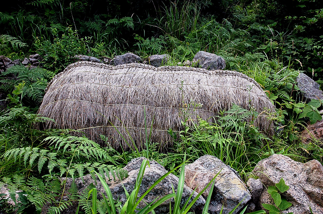 도초면 문화자원 조사[2005.6.18] 도락리 故.jpg