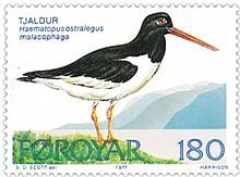220px-Faroe_stamp_023_oyster_catcher.jpg