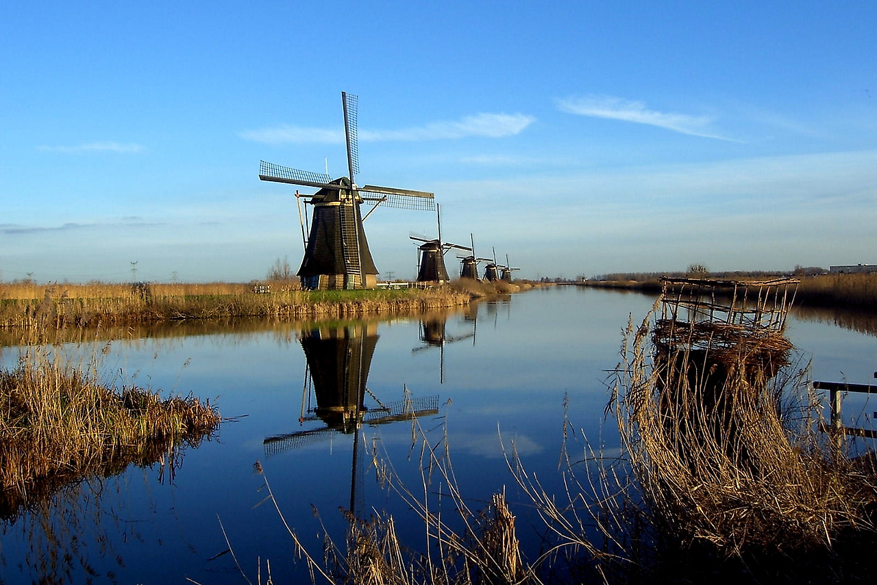 Windmills at Kinderdijk in the northwest of the Alblasserwaard.jpg