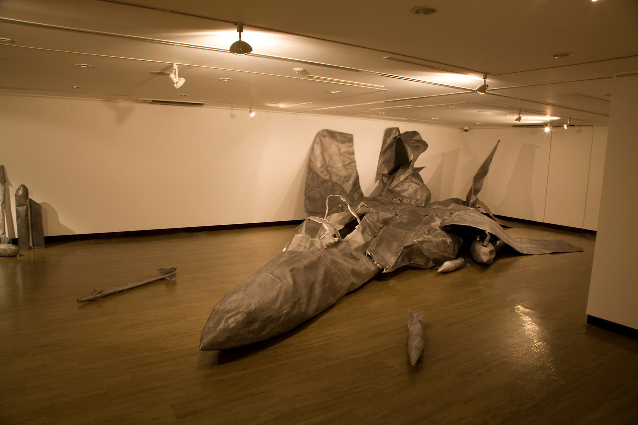 6. f-15k 1000x600x230cm 2011 pencil, paper, wire (6).jpg