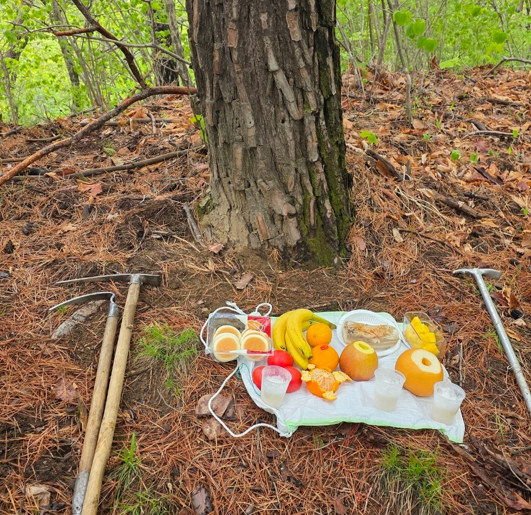 고사 - 과일, 술.jpg