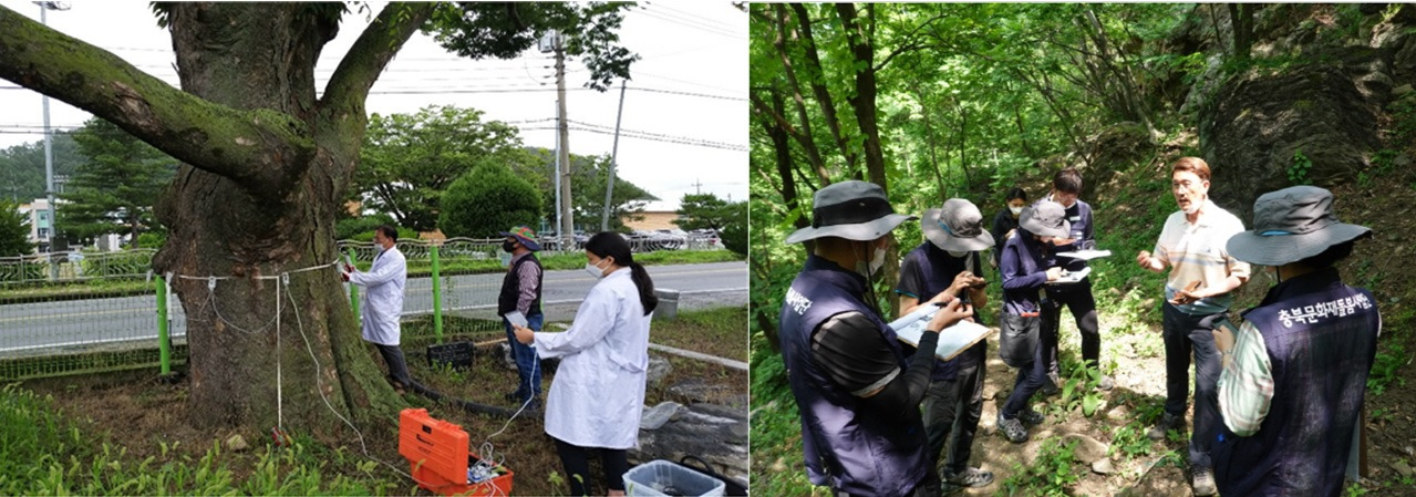 수목진단 및 교육 모습(1280).jpg