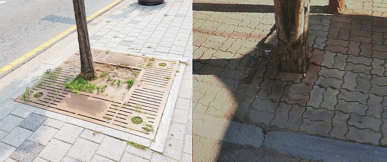 4-1.수목보호판+보도블록 덮기(1280).jpg