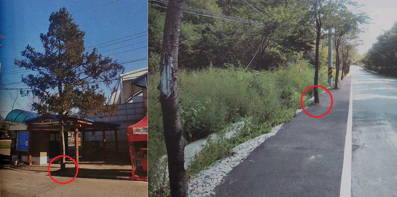 5.콘크리트로 덮음 1280.jpg