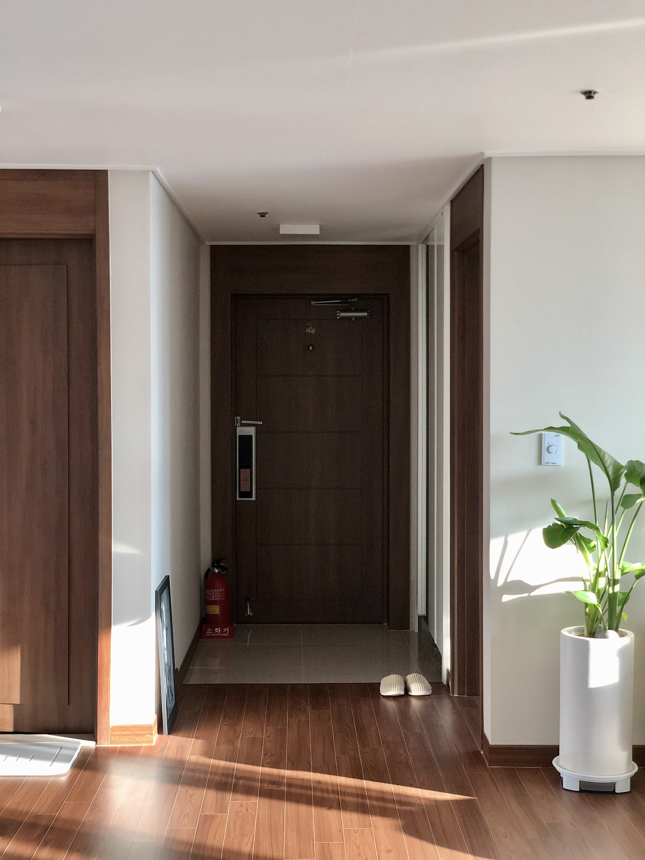 5. 현관문까지 모두 우드 느낌으로 통일했다.jpg