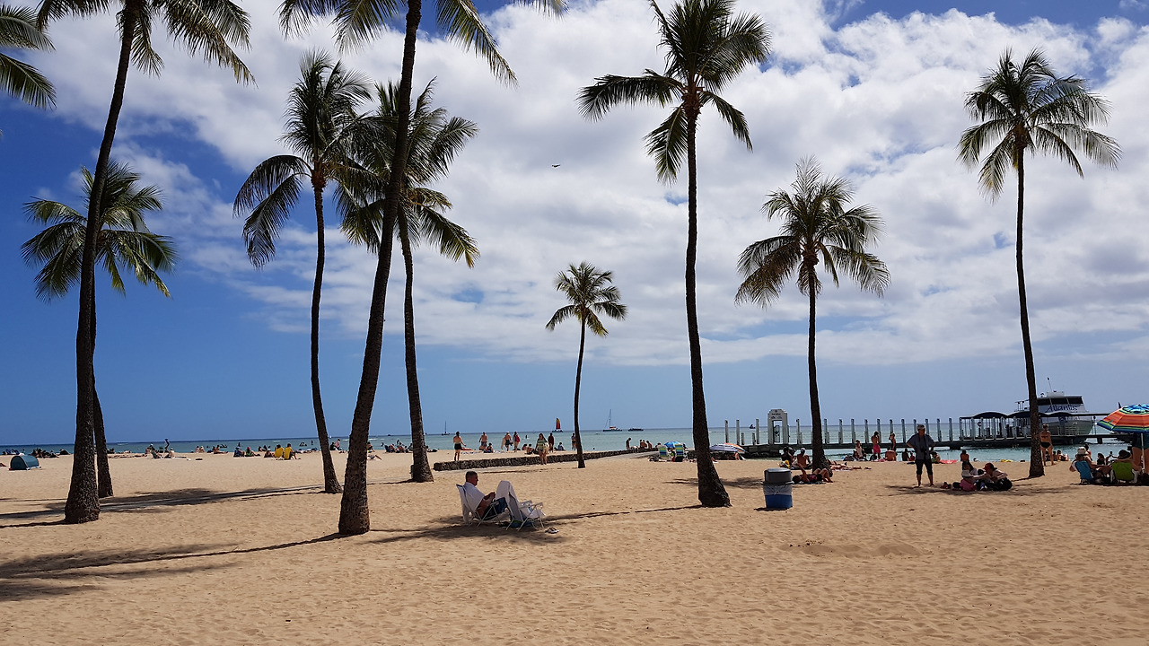 와이키키 해변을 바라보며 망중한.jpg