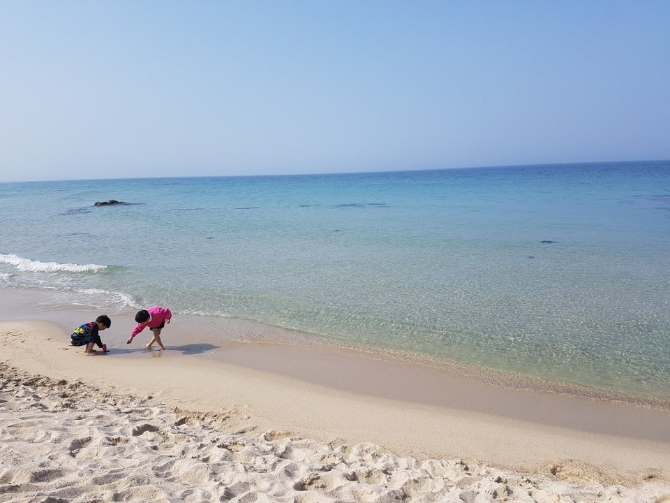 강릉의 어느 해변.jpg
