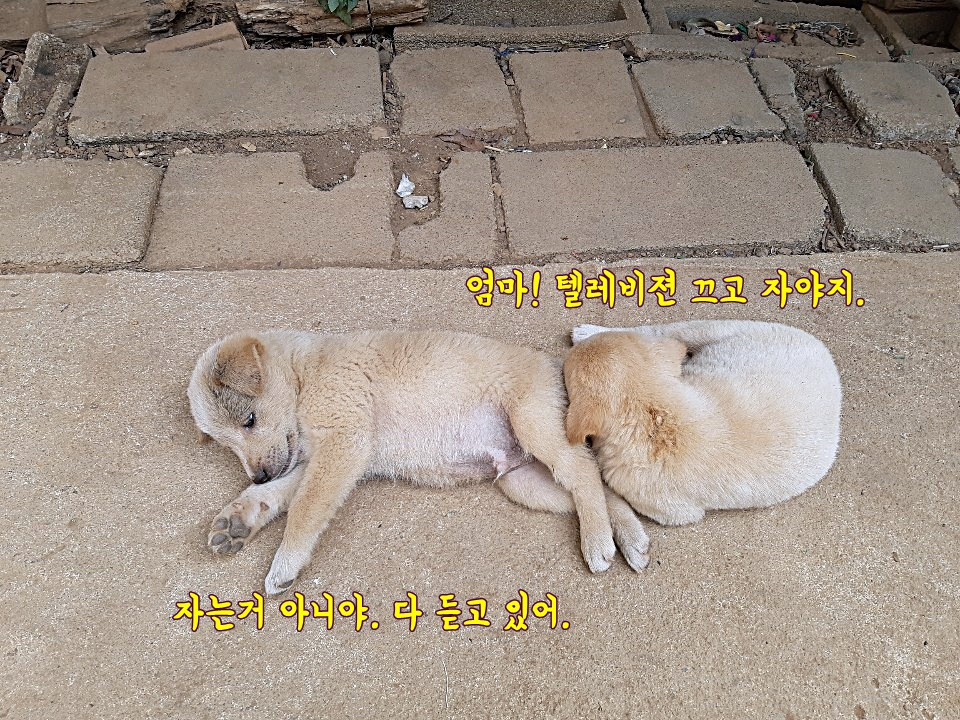 KakaoTalk_20200927_232843059_01.jpg