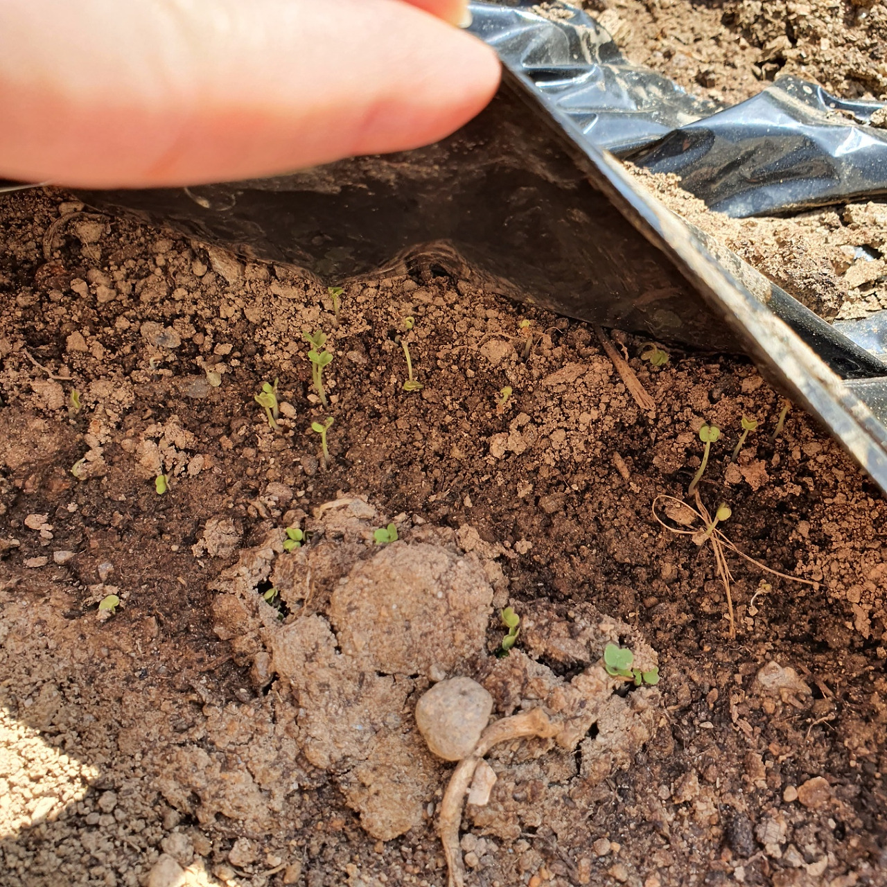 KakaoTalk_20220701_104352267 (1).jpg