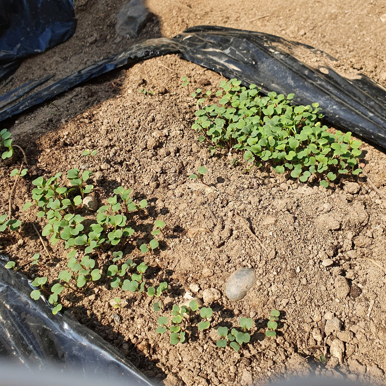 KakaoTalk_20220701_104352267_10 (1).jpg