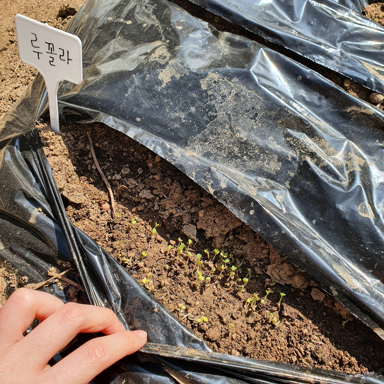 KakaoTalk_20220701_104352267_03 (1).jpg