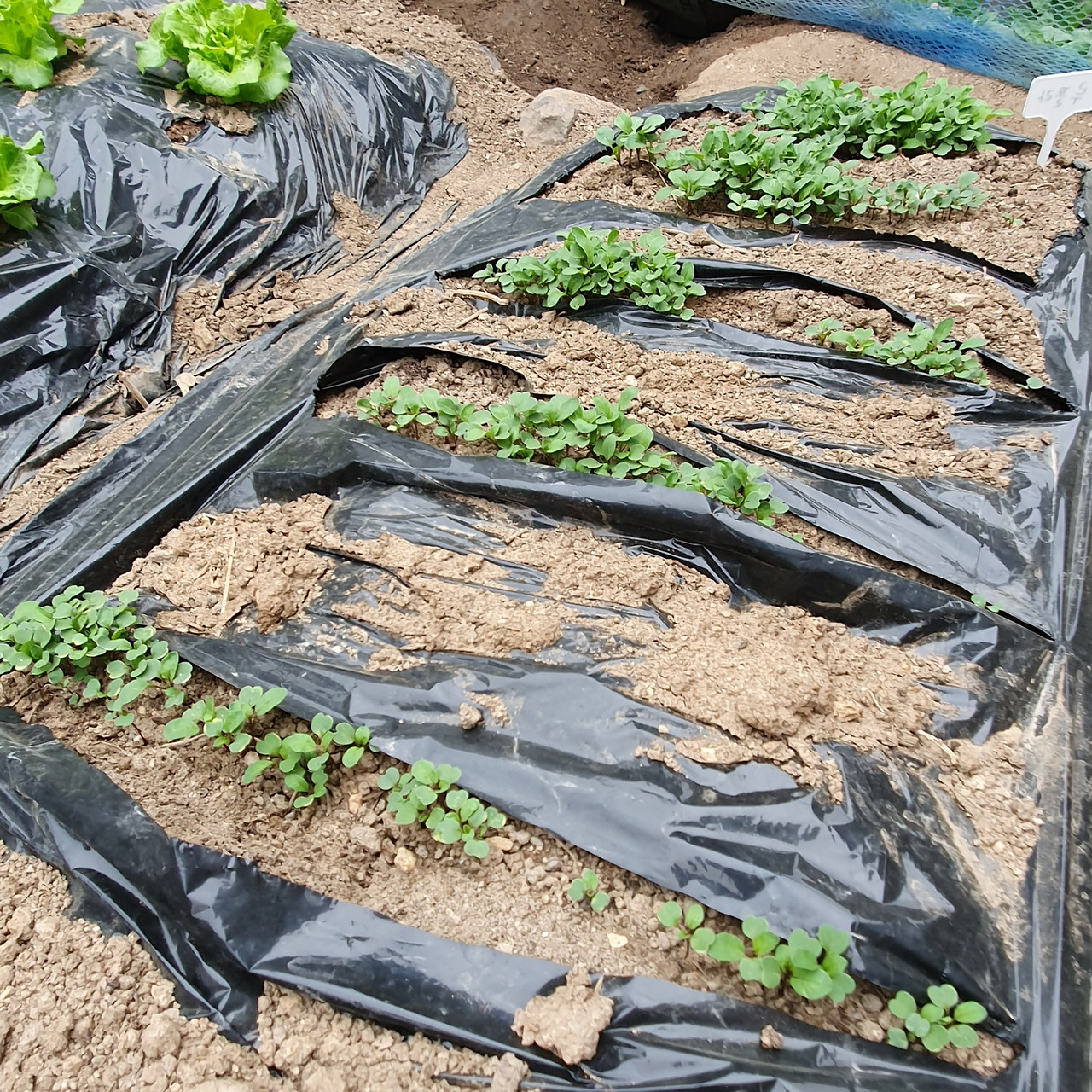 KakaoTalk_20220701_104352267_11 (1).jpg