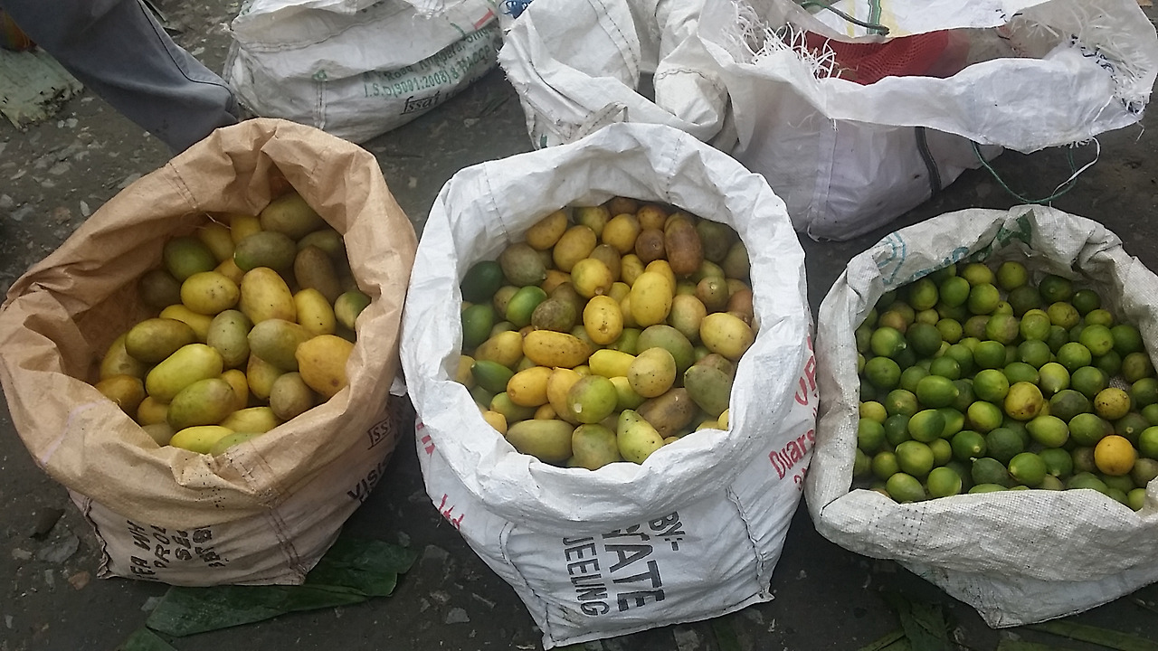 5.다른 종류의 레몬들.jpg