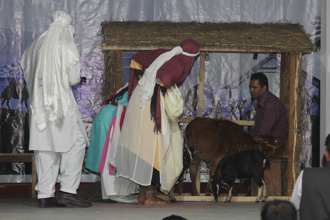 진짜 소와 염소가 출연한 연극.jpg