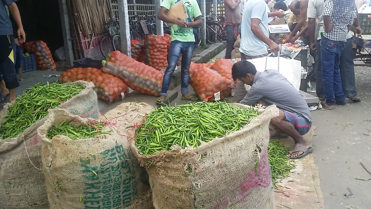 4.인도에서 빼놓을 수 없는 야채- 고추.jpg