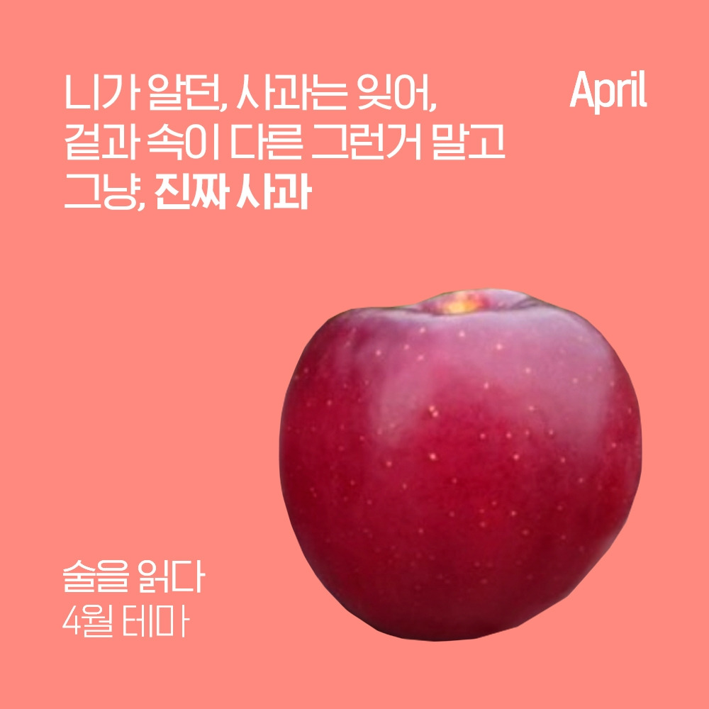 4월컨셉_인스타_01.jpg
