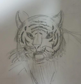 호랑이 손그림.jpg