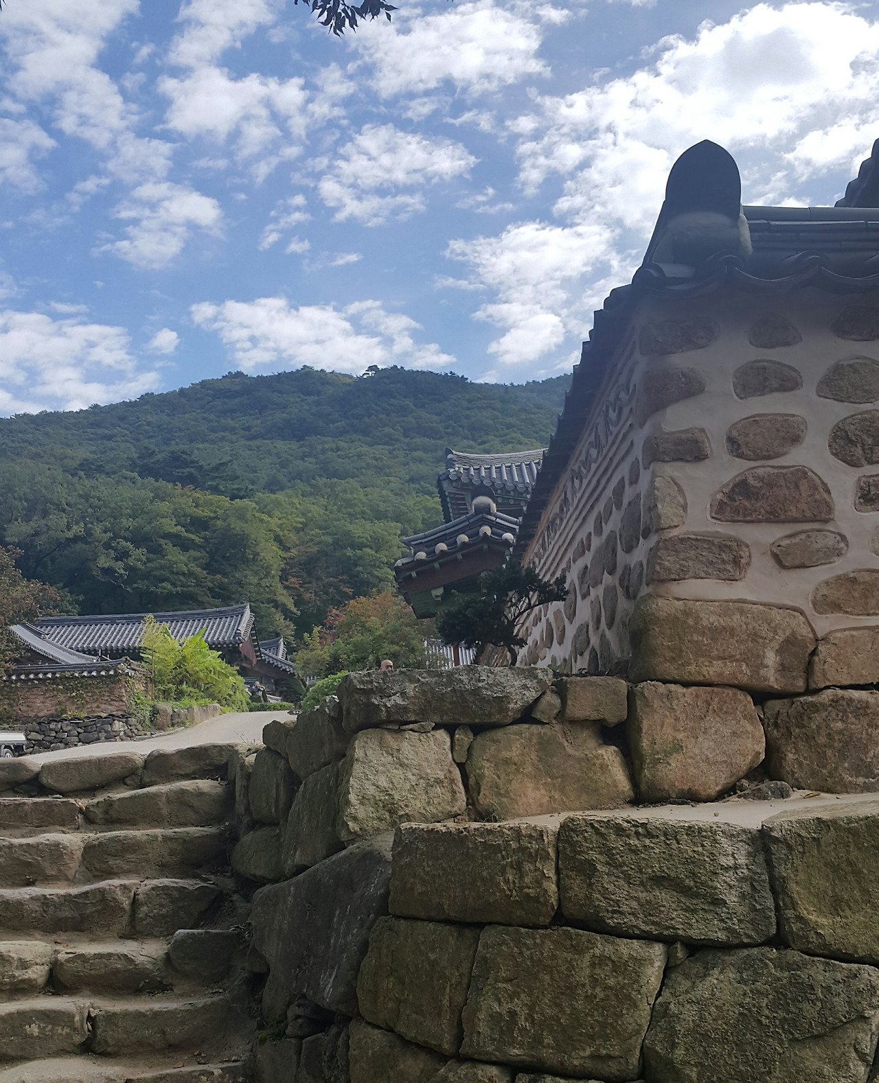 2017-10-15 07.24.02.jpg