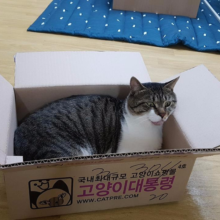 20171023_191647 (1).jpg