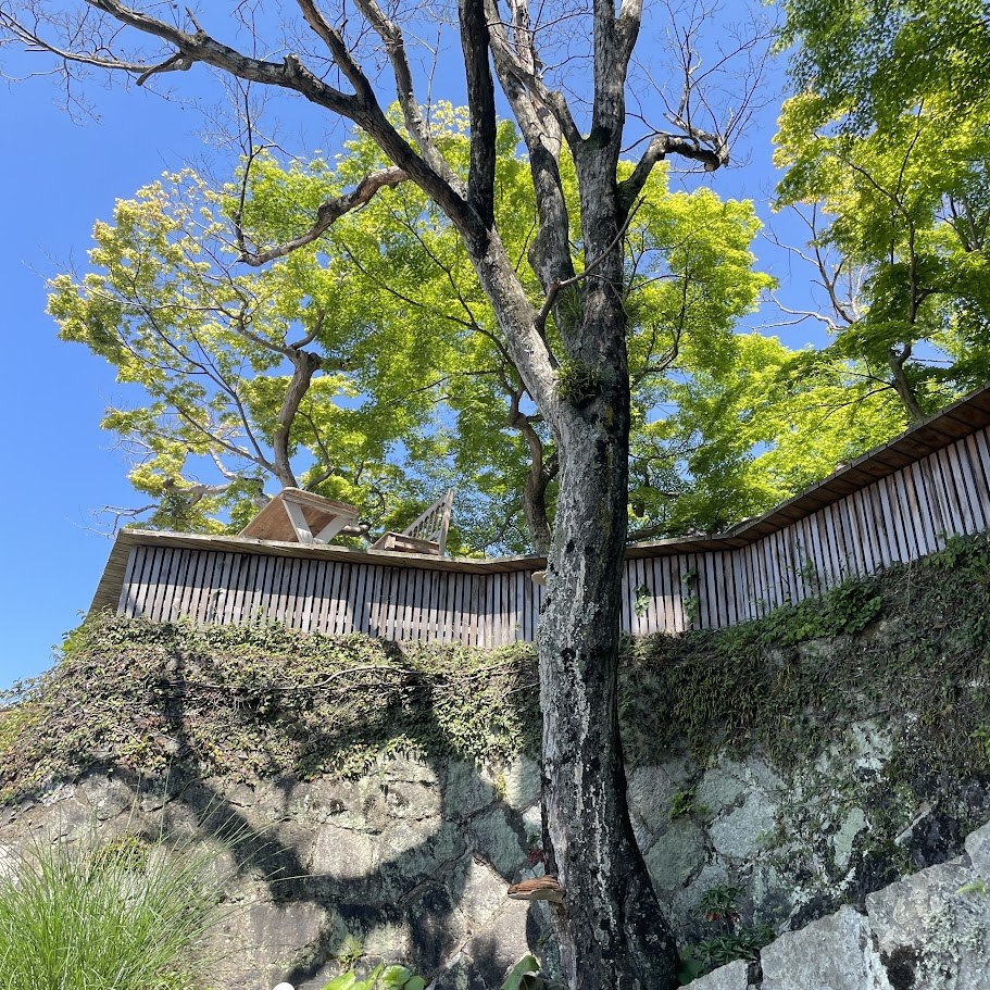 FullSizeRender (9).jpg