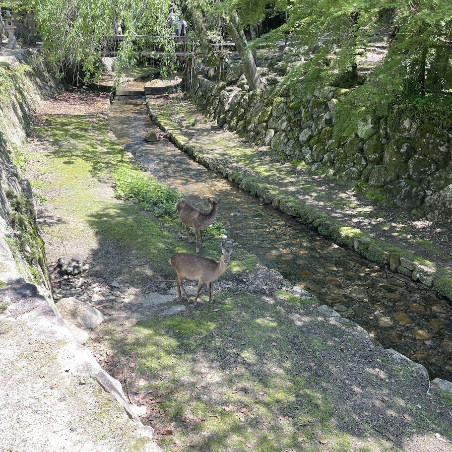 FullSizeRender (1).jpg