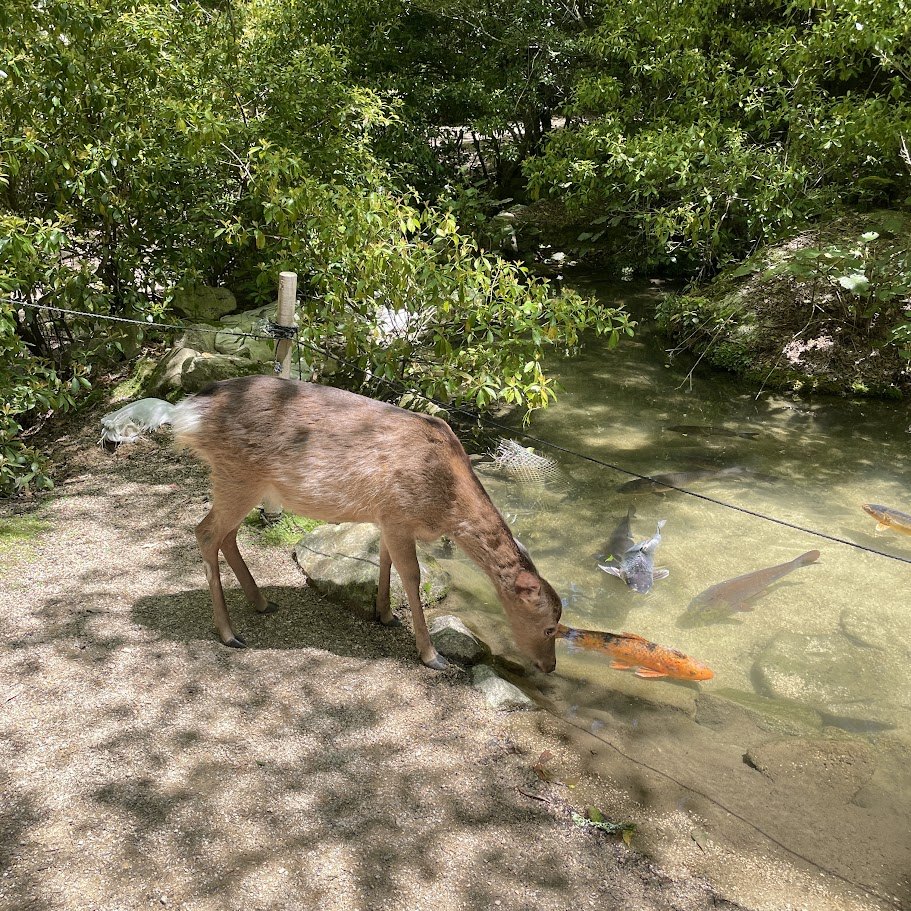 FullSizeRender (1).jpg