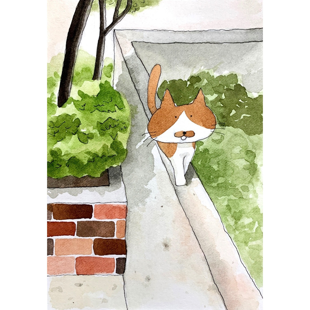 담벼락 또또.jpg