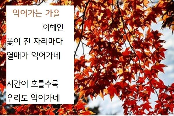 익어가는 가을.jpg