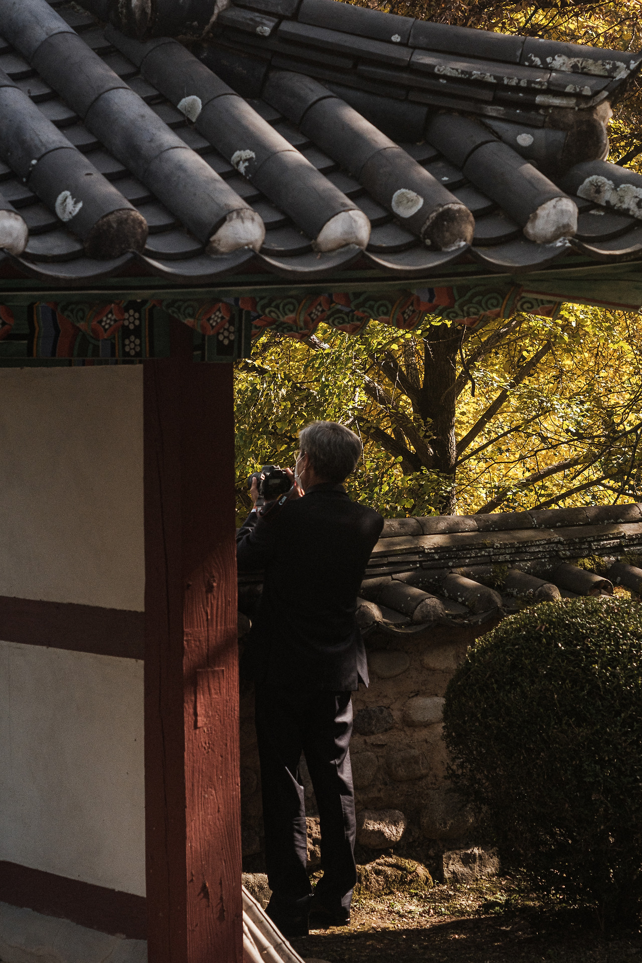 20251111-20251111-DSCF2085 2.jpg