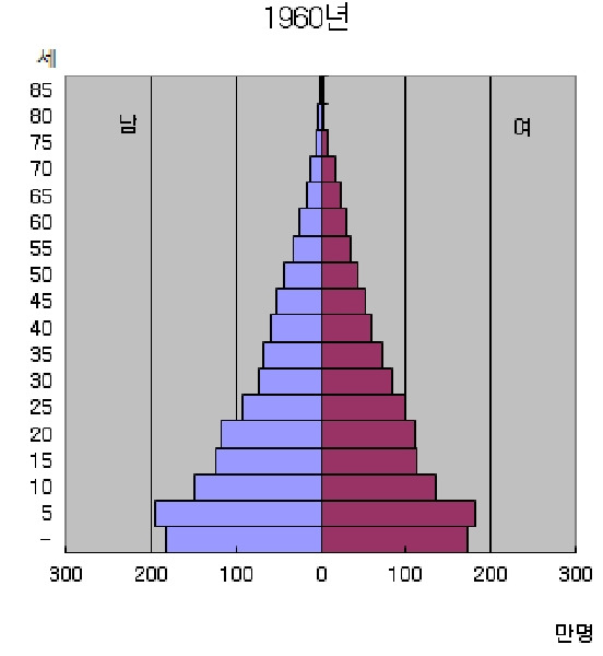 인구구조_1960년.jpg