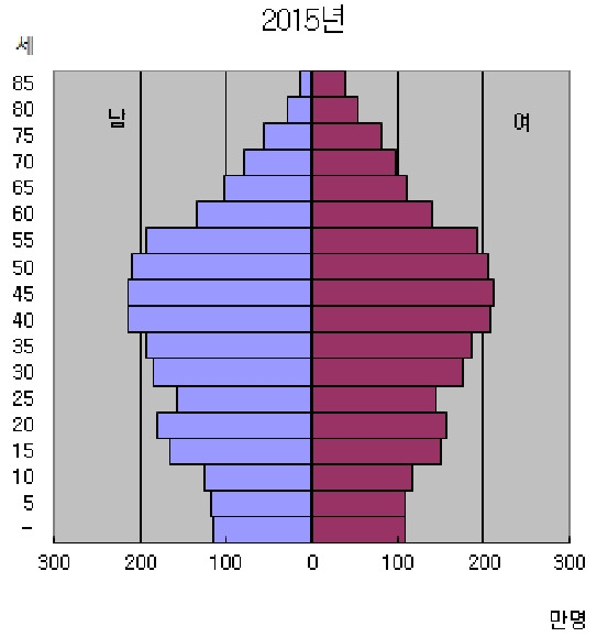 인구구조_2015년.jpg