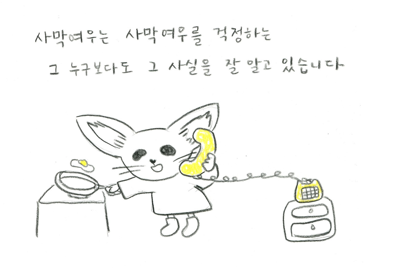 사막여우019.jpg