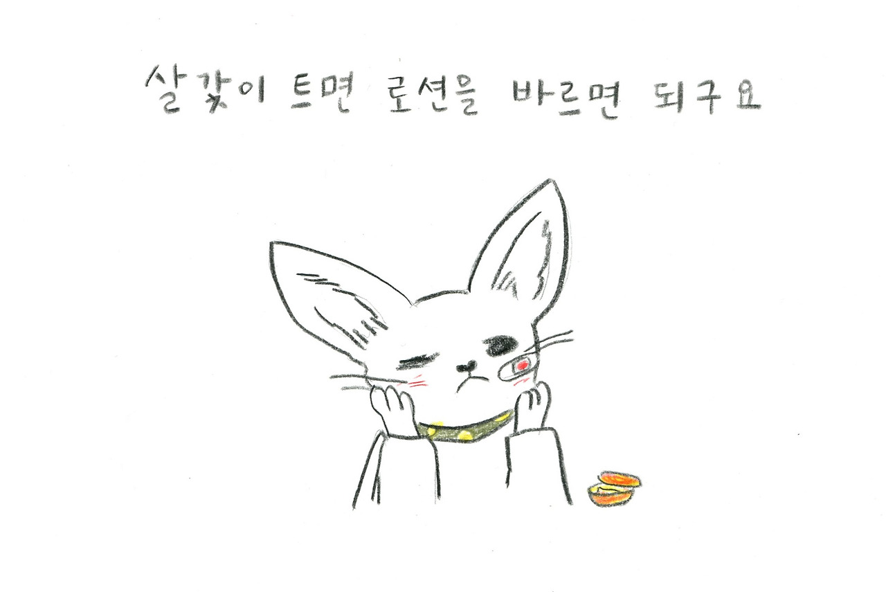 사막여우010.jpg