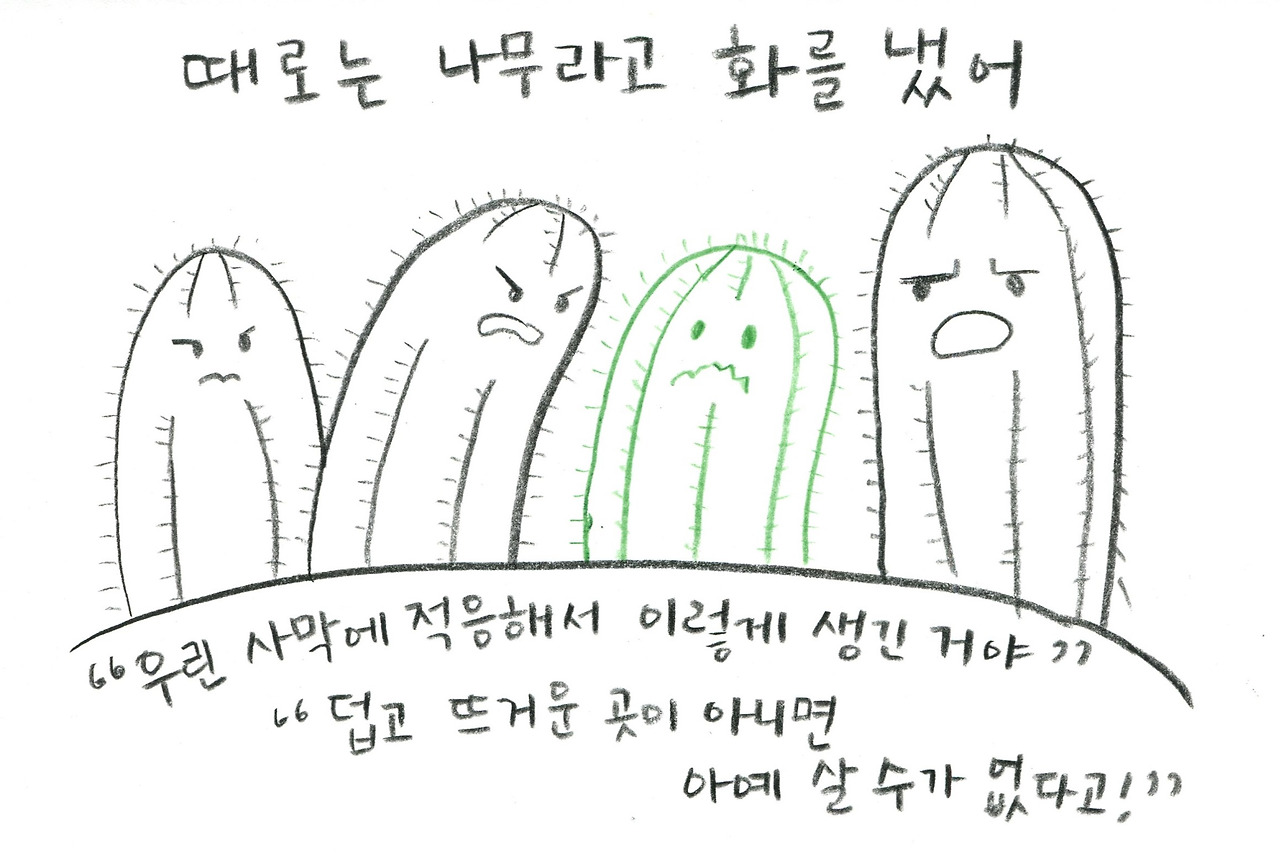 선인장006.jpg