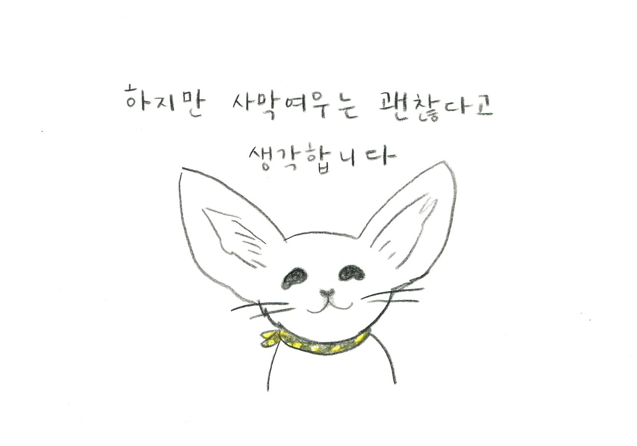 사막여우008.jpg