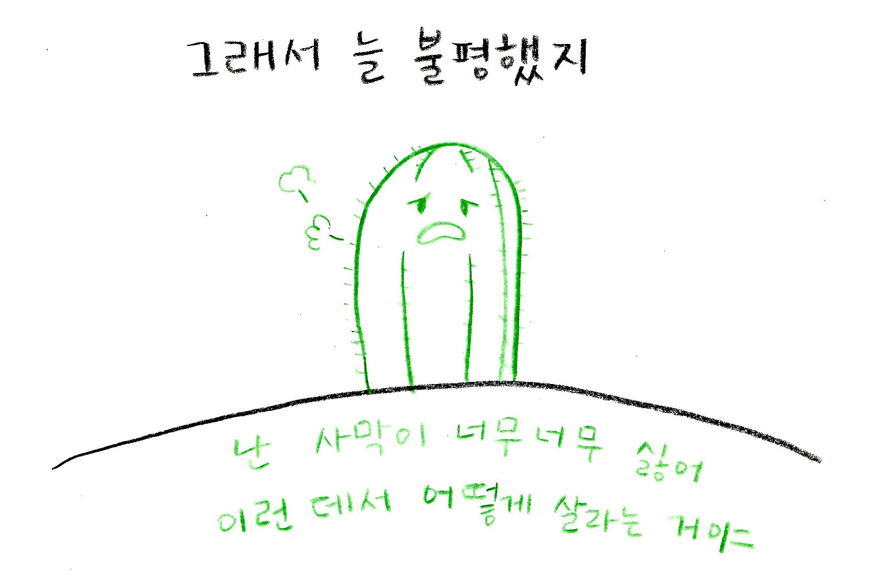 선인장004.jpg