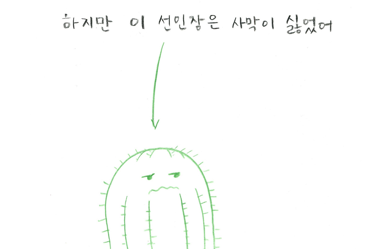 선인장002.jpg