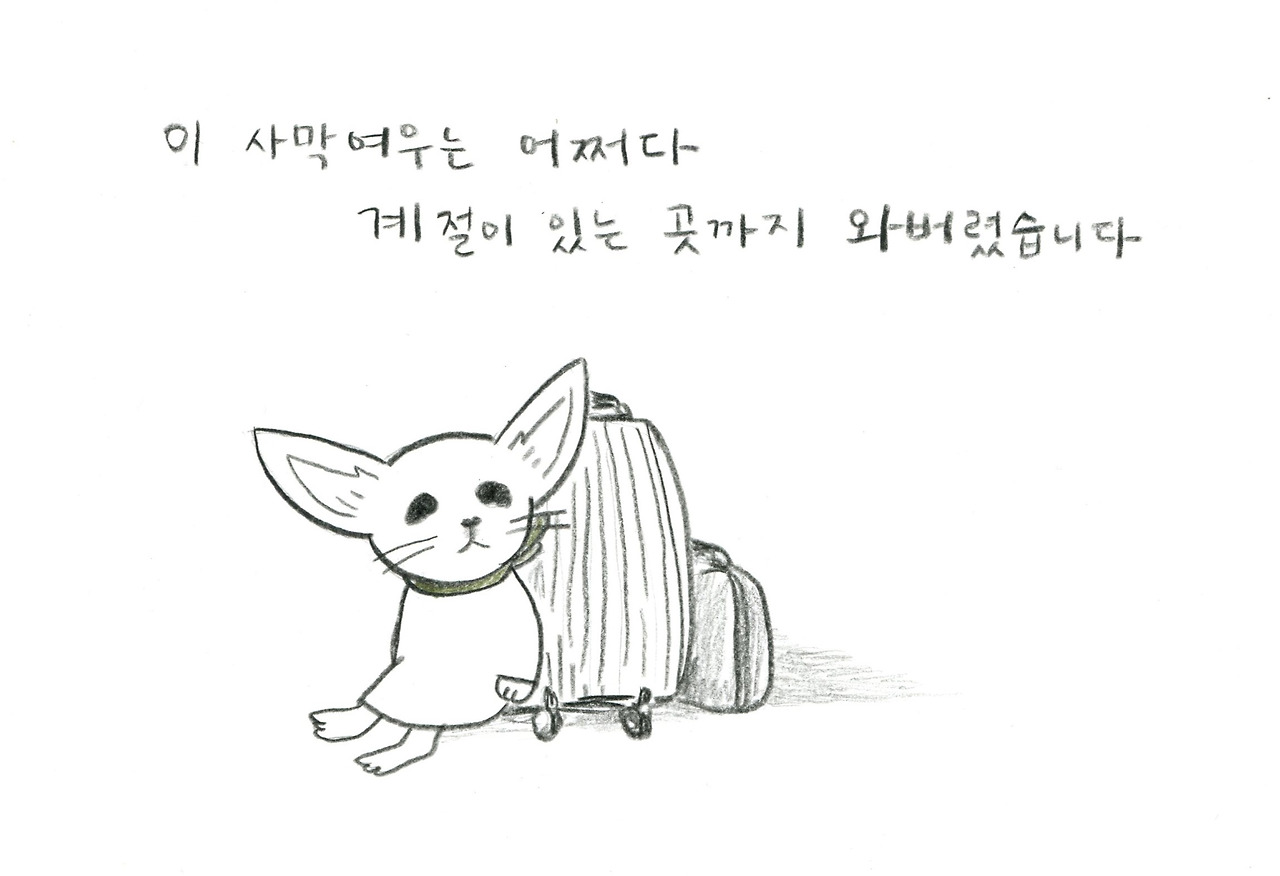 사막여우002.jpg