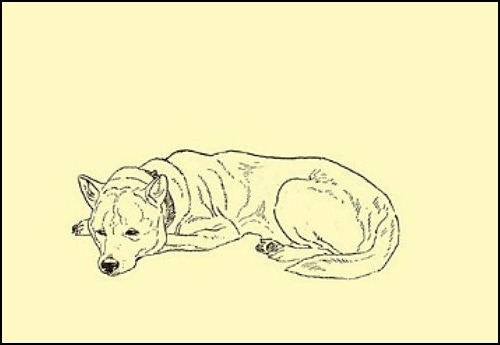 다운로드 (1).jpg