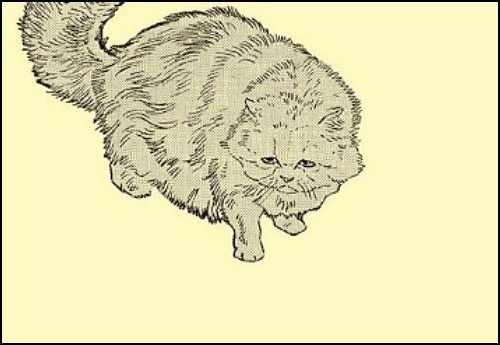 다운로드 (2).jpg