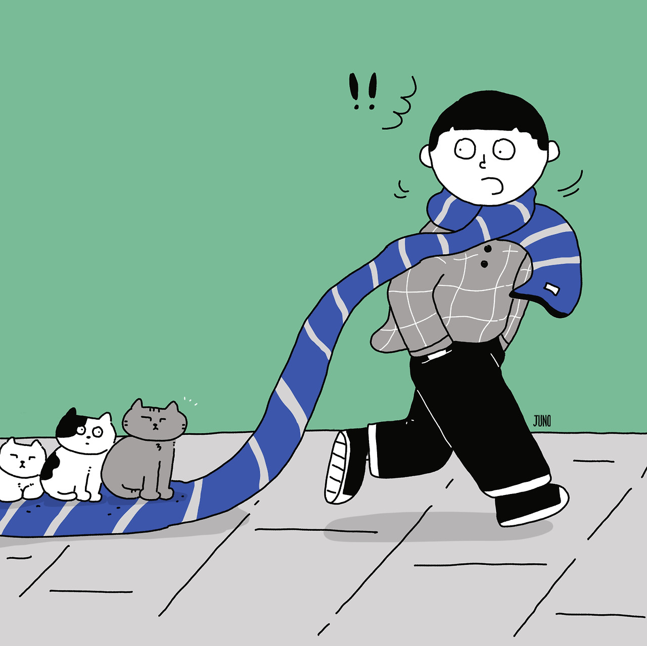 240101 고양이.jpg