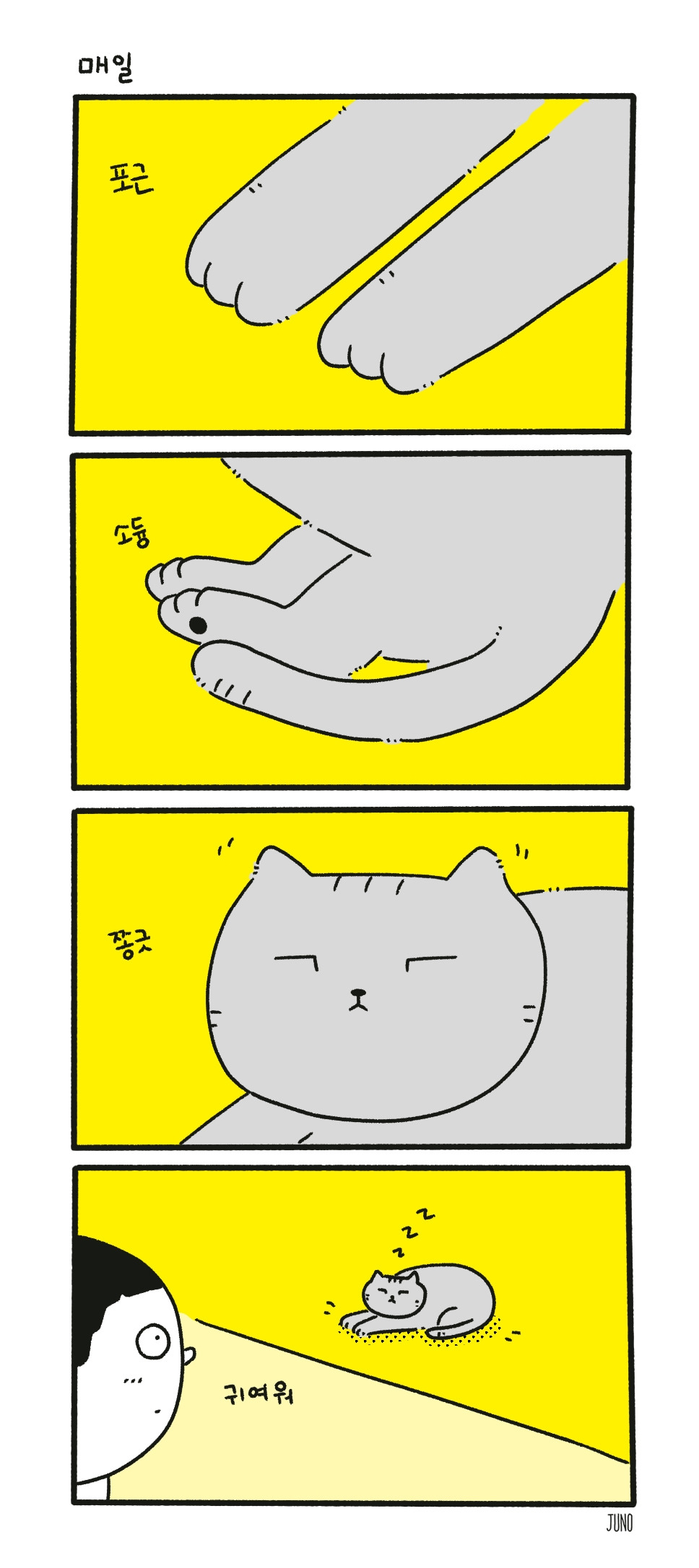 주노네컷.jpg