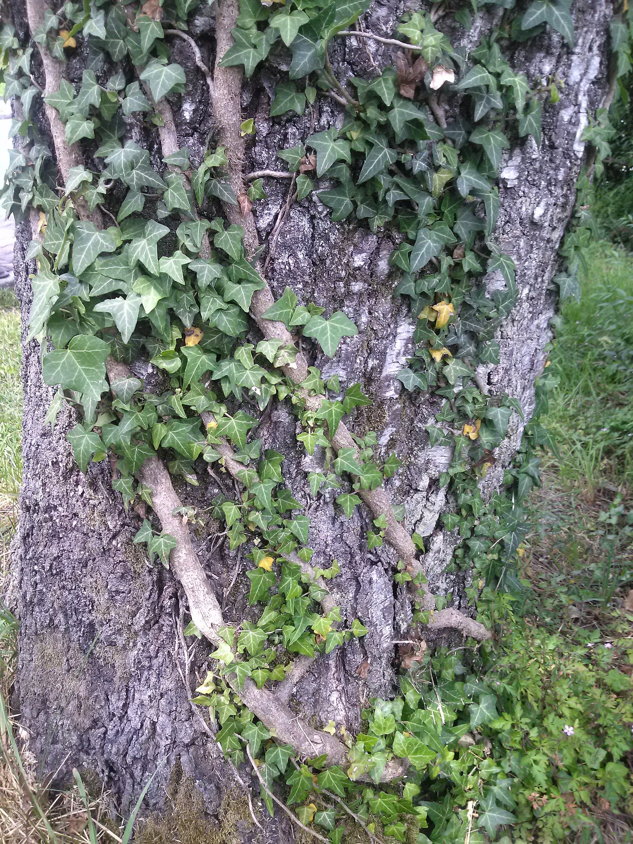 2013-06-23 12.56.22.jpg