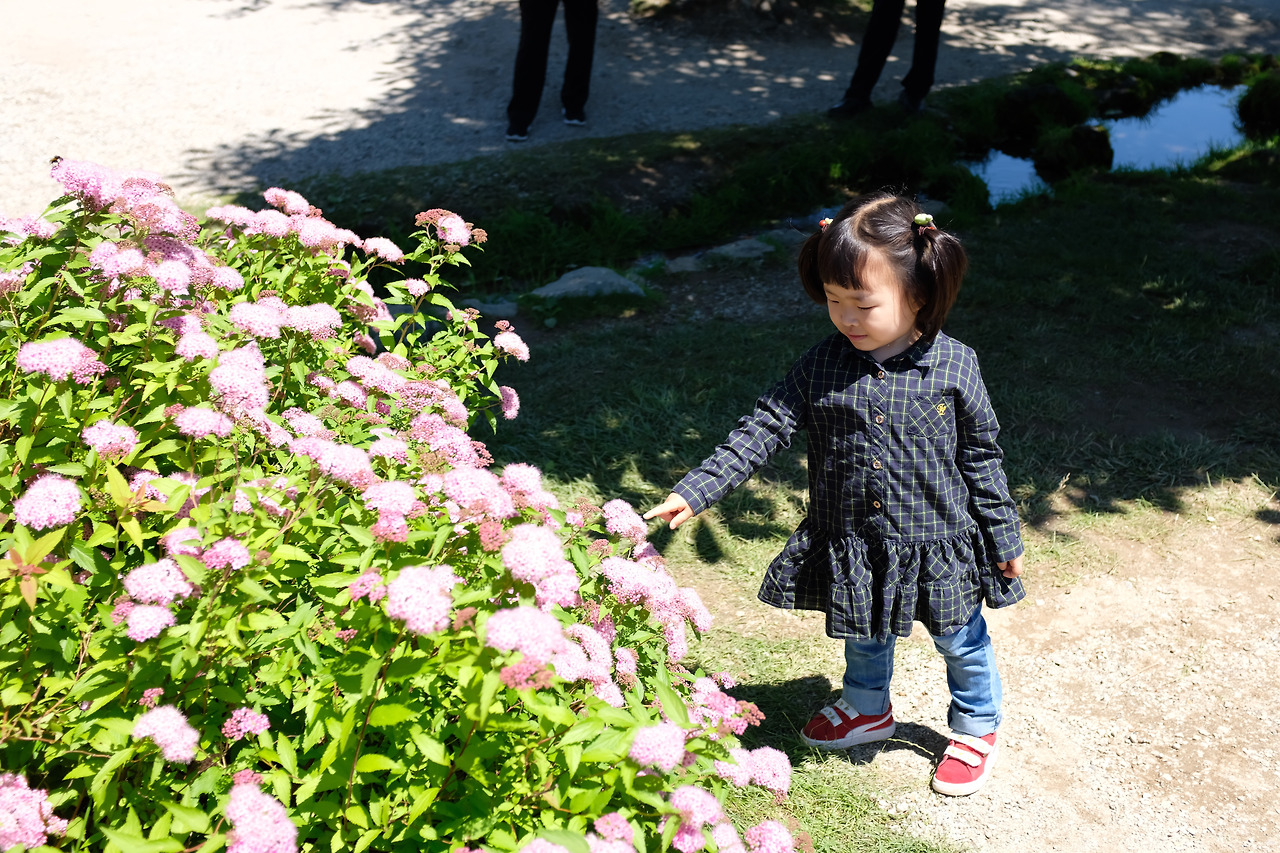 사진 2018. 7. 8. 오전 11 33 28.jpg