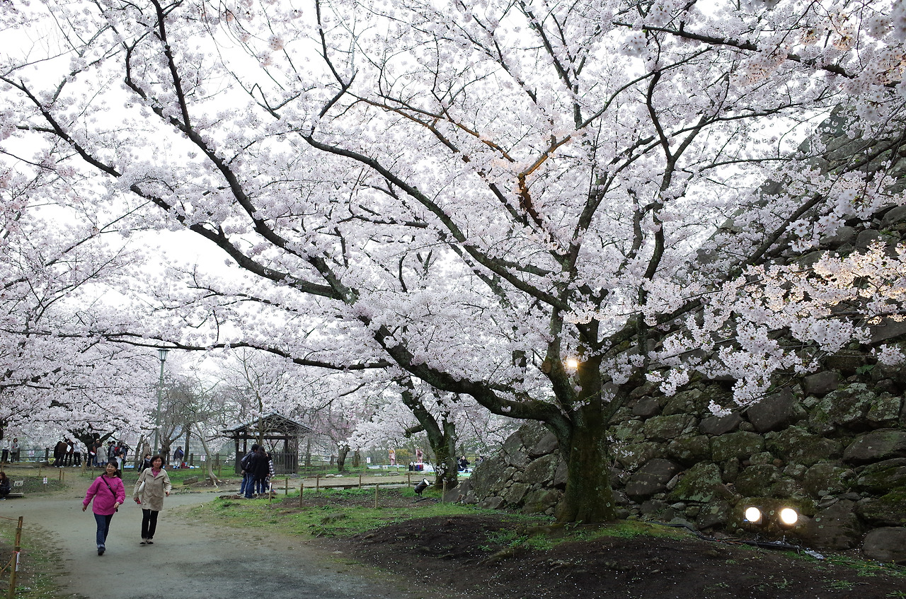 사진 2016. 4. 1. 오후 5 29 39.jpg