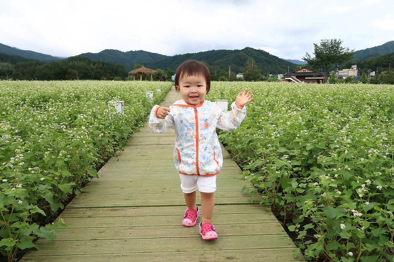 사진 2016. 8. 28. 오후 3 23 39.jpg