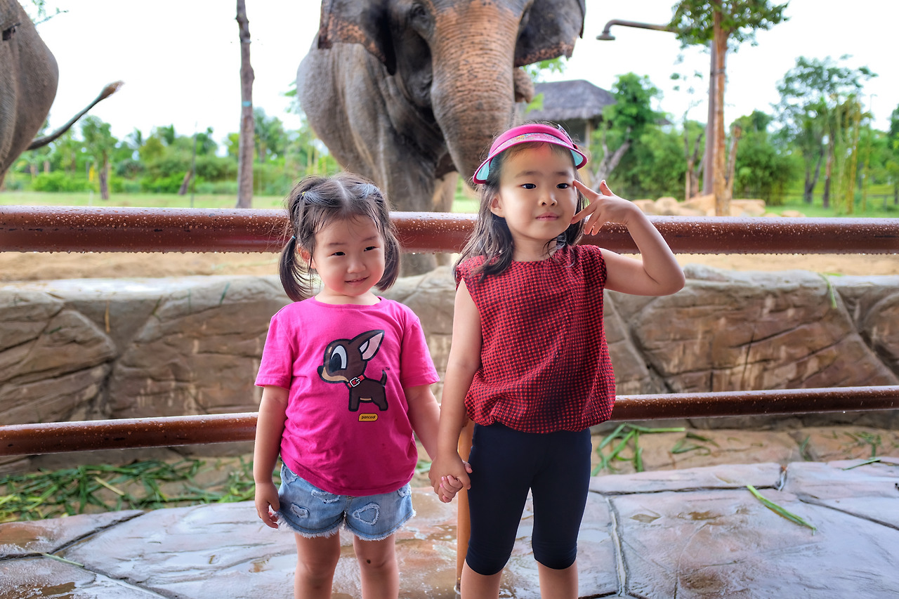 사진 2019. 9. 13. 오후 3 52 38.jpg