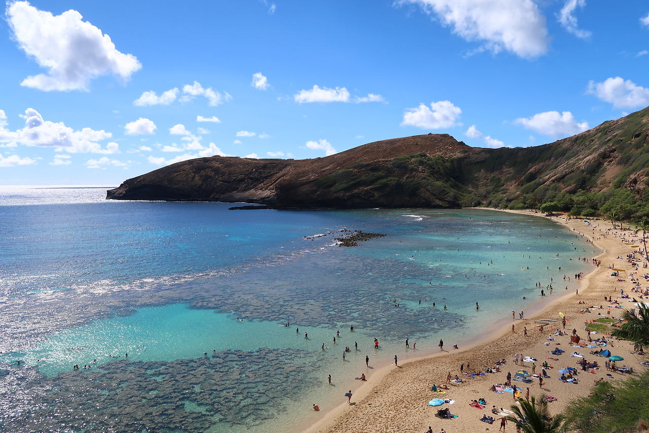 사진 2017. 1. 29. 오전 6 06 08.jpg