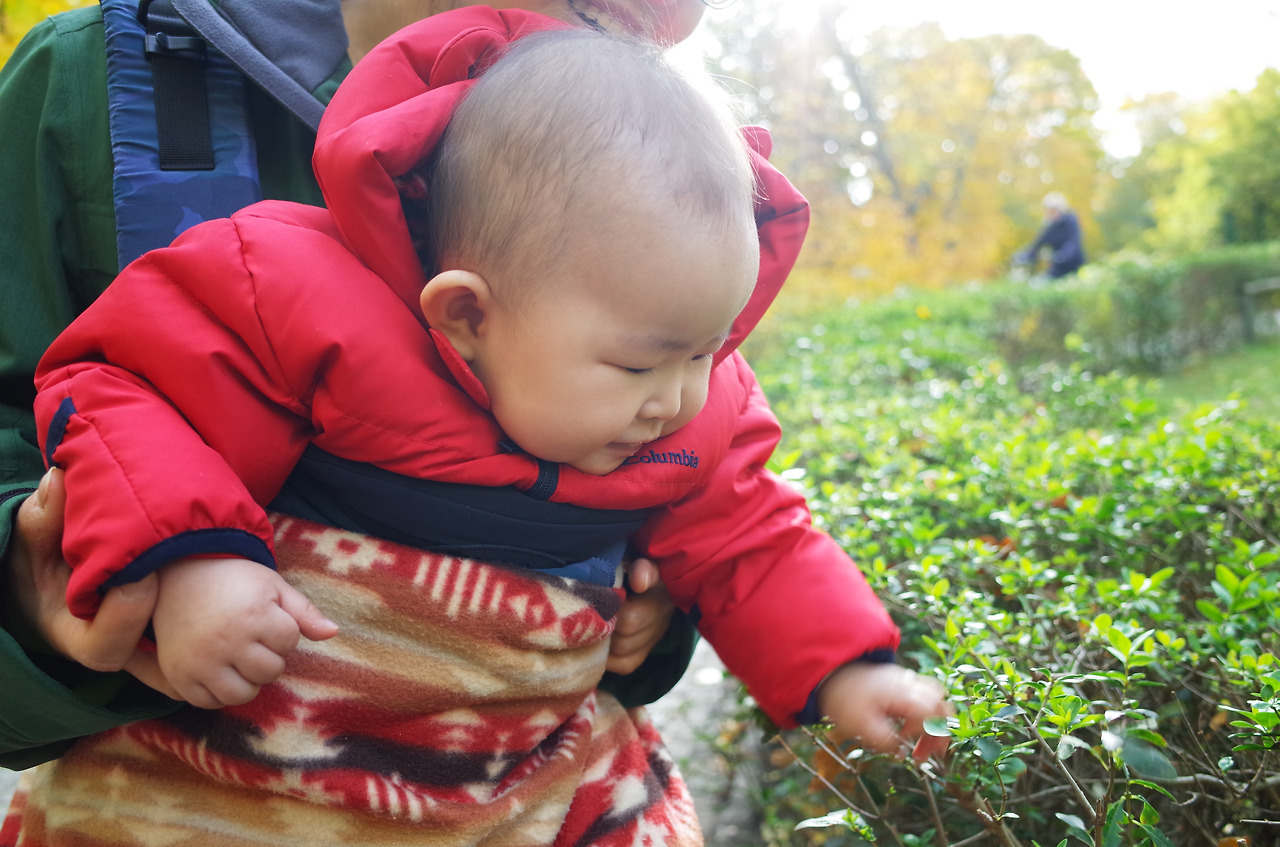 사진 2015. 10. 23. 오후 9 26 52.jpg