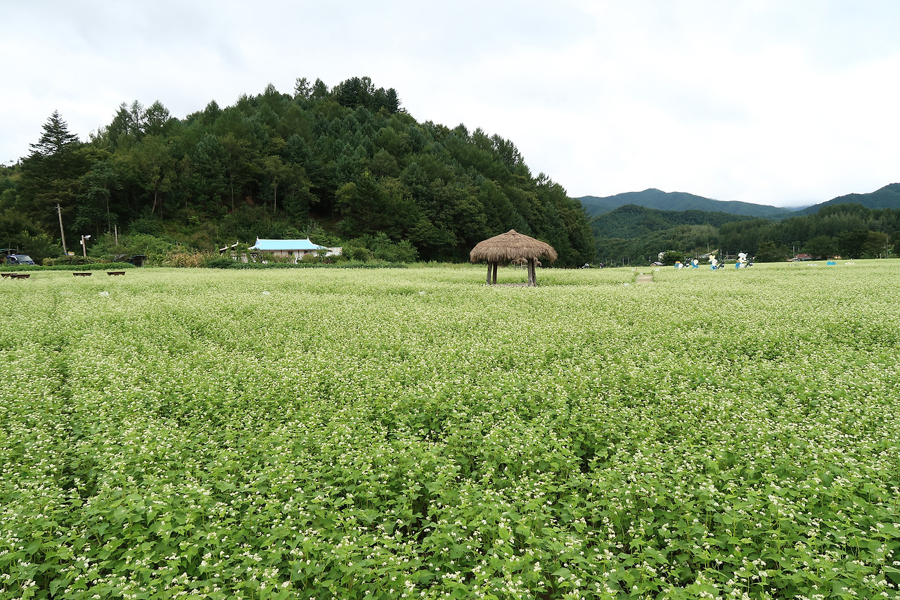 사진 2016. 8. 28. 오후 3 20 49.jpg